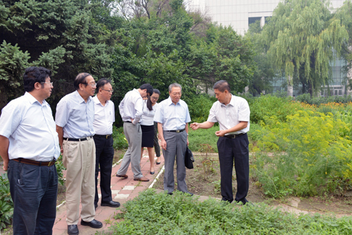 专家组考察药用植物园